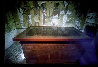 Tutankhamun's tomb, Egyptian Museum Cairo, Egypt, Africa