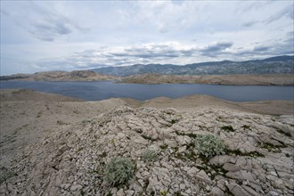 Paska Vrata, lunar landscape, island of Pag, Zadar, Dalmatia, Croatia, Europe