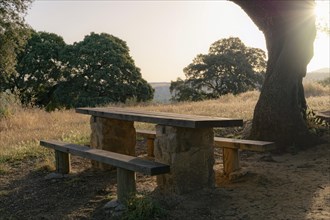 Wooden table in a picnic area in the countryside with a bright sun in the background and copy space