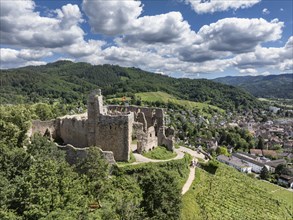 Aerial view of Staufen Castle, on a vineyard, Schlossberg, Staufen im Breisgau, Markgraeflerland,