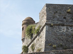 Detail of an old fortress with stone walls and a tower, overgrown with plants, Bari, Italy, Europe