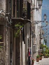 Narrow alley with flowers and cables next to old buildings, evokes a nostalgic atmosphere, palermo
