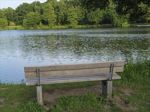 Wooden bench overlooking a quiet lake surrounded by trees in a green park, green trees and bushes