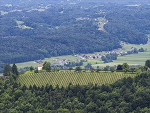 Hilly landscape, vineyards, view from the Demmerkogel lookout point, St. Andrae-Hoech, Sausal wine