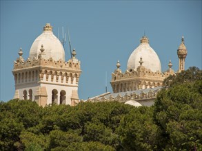 Large white domes of a historic building rise above the green of the trees, Tunis in Africa with