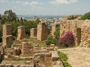 Ancient stone ruins with colourful flowers, green vegetation and views of the modern city, sunny