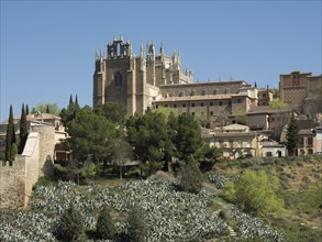 Imposing cathedral and surrounding buildings, surrounded by trees, under a clear blue sky, toledo,