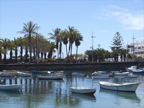 Harbour view with sailing boats and palm trees, clear water and a blue sky, Lanzarote with a