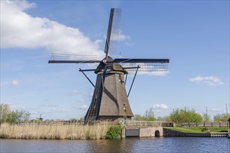 Windmill on a river bank, surrounded by reeds and green trees under a clear sky, windmills of