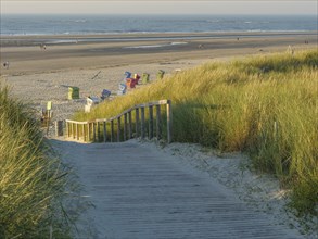 Wooden path through sand dunes leading down to the beach with colourful beach chairs, sundown on