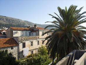 Old stone buildings and palm trees in a Mediterranean setting with clear sky views and everyday