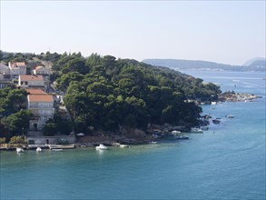 Coast with houses and boats, surrounded by dense forests and clear blue water under a bright blue
