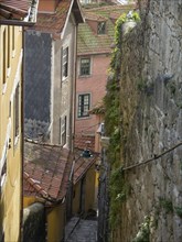 Narrow alley with old houses and red roofs, green vegetation on the stone wall, old houses in the