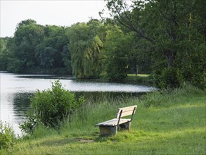 A wooden bench stands on the quiet shore of a lake, surrounded by green areas, green trees and