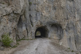 Tunnel and pass road in the Velebit nature park Park, Zadar, Dalmatia, Croatia, Europe