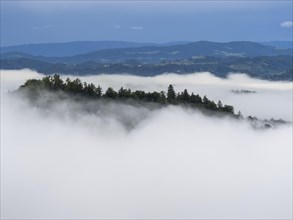 Morning fog over hilly landscape, view from Silberberg, near Leibnitz, Styria, Austria, Europe