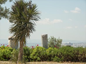 Palm tree and ancient columns in front of a wide landscape and blue sky, Tunis in Africa with ruins