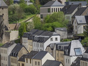 View of the roofs and buildings of a historic city centre surrounded by greenery, view of a