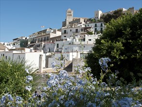A view of a Mediterranean town with white houses and blooming flowers under a bright blue sky,