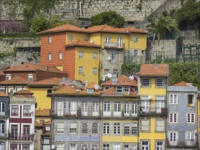 Colourful old town houses with many windows and different colours on a green hill, yellow and