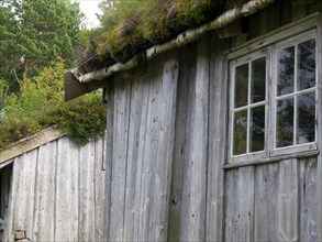 Side view of a rustic wooden hut with windows and grass roof, surrounded by trees, grey wooden