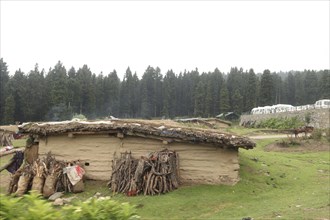 Mud house with logs stacked against it, set in a lush green rural landscape with forest in the