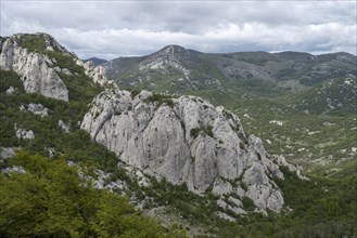 Typical limestone cliffs, Velebit nature park Park, Zadar, Dalmatia, Croatia, Europe