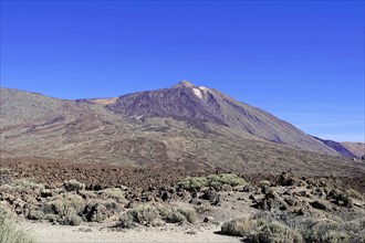 On the way to Mount Teide, El Teide, Pico del Teide, Volcano in the Teide National Park on