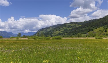 Landscape panorama, spring flowers, Zell am See, Pinzgau