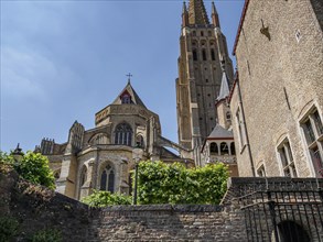 Gothic cathedral with high towers and brick walls on a summer day, historic houses and churches