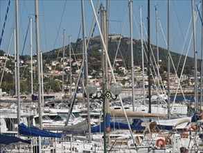 A row of yachts and boats in the harbour with numerous masts, hilly landscape and town behind, la