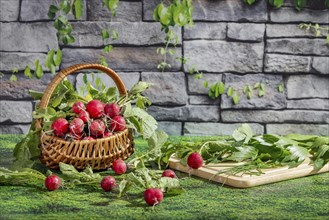 A basket of freshly harvested radishes next to a chopping board with fresh herbs