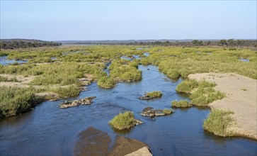 Olifants River, Kruger National Park, South Africa, Africa