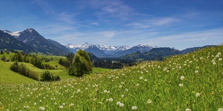Panorama from Malerwinkel into the Illertal valley, with the Allgaeu Alps behind, Oberallgaeu,