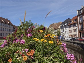 Multicoloured flowers in a blooming pot on a bridge over a canal in the old town, historic house