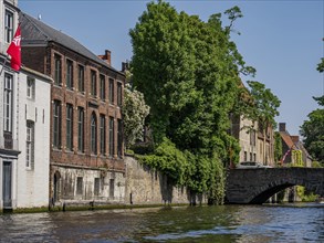 Historic buildings along a canal with a bridge and lush green trees in a sunny scene, historic city