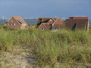 View from grassy dunes to brick houses with wind turbines and the sea in the background under blue