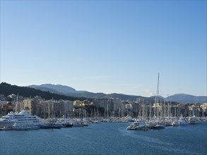 View of the harbour with many boats and a city in the background, palma de Majorca with its