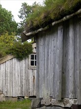 Close-up side view of a wooden hut with grass roof and windows in the forest, grey wooden houses in