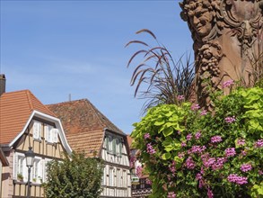 Historic half-timbered houses with floral decorations in Alsace, Wissembourg, France, Europe