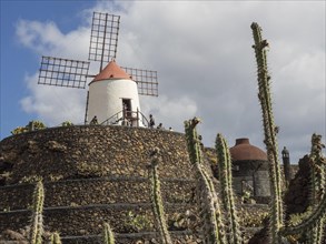 Historic windmill on a rocky hill with cacti in the foreground under a blue sky, Lanzarote, Spain,