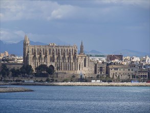 A gothic cathedral on the coast of a city under a cloudy sky, palma de mallorca on the