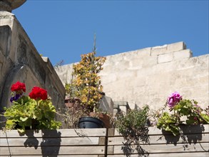 Flowers and plants in flower pots on a wooden cladding under bright sunshine, the town of mdina on