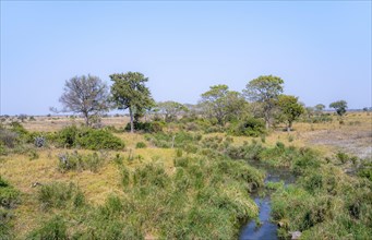 Small river, African savannah, Kruger National Park, South Africa, Africa