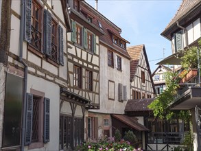 Historic half-timbered houses with floral decorations in Alsace, Wissembourg, France, Europe