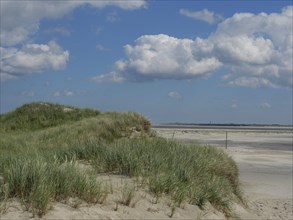 Idyllic dune landscape on the beach with overgrown sand and blue sky, Baltrum Germany
