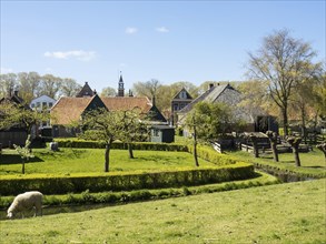 Rural village scene with traditional houses, a well-tended pasture and a grazing sheep, Enkhuizen,