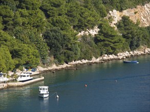 Coast with small boats and dense green vegetation along a rocky shore, the old town of Dubrovnik