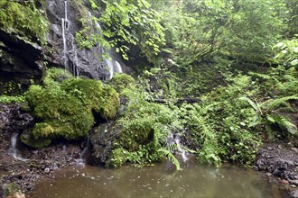 Waterfall with pond in the forest near Gerach in Hunsrueck, Rhineland-Palatinate, Germany, Europe