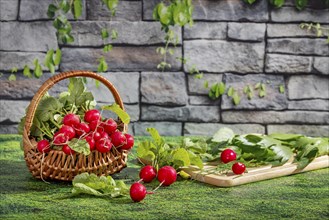 A basket of fresh radishes and a chopping board with herbs on a grassy area in front of a stone